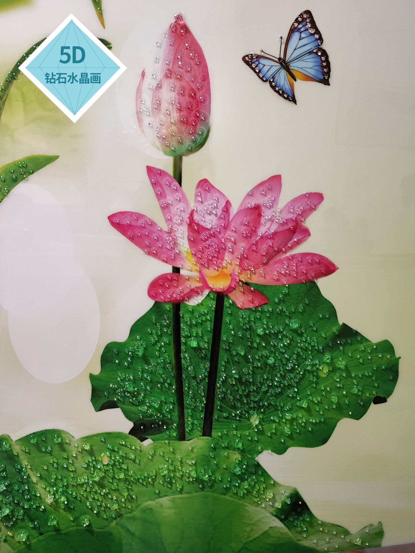 家和富贵【6】