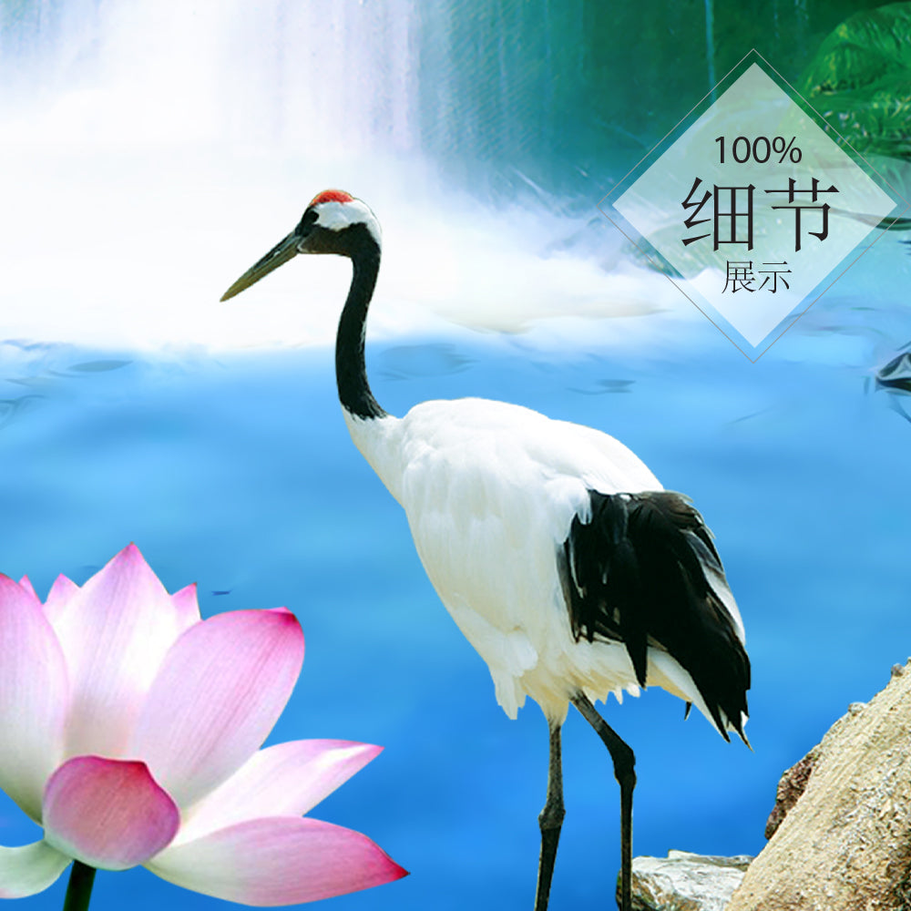 流水生财 【12】