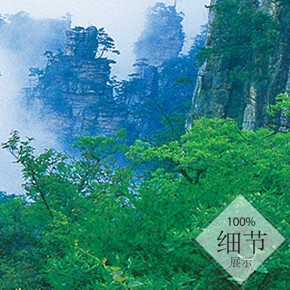 马到成功【13】