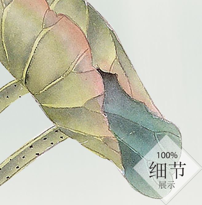 富贵圆满【99】