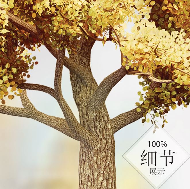 富贵圆满【17】