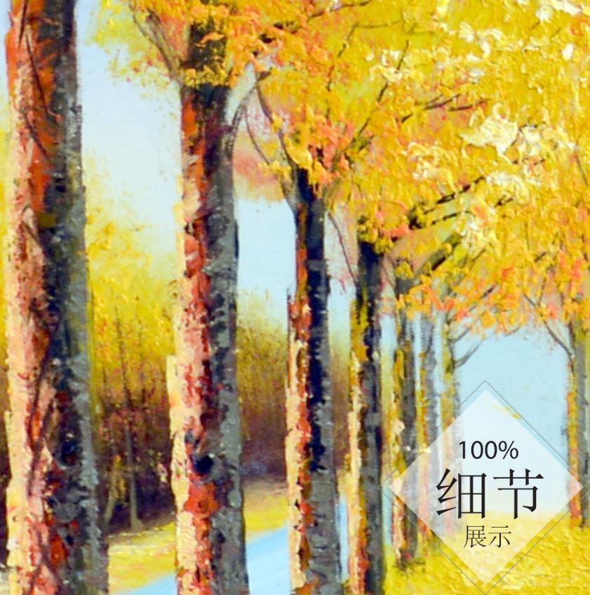福鹿财树【87】