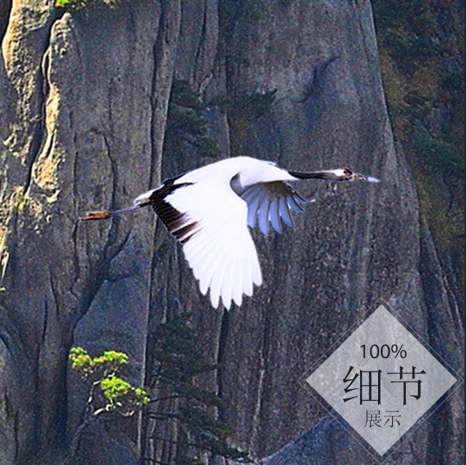 富贵圆满【48】