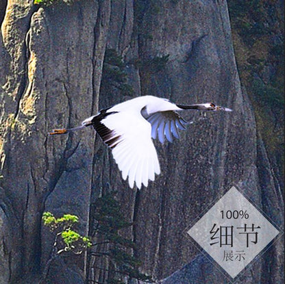 富贵圆满【48】