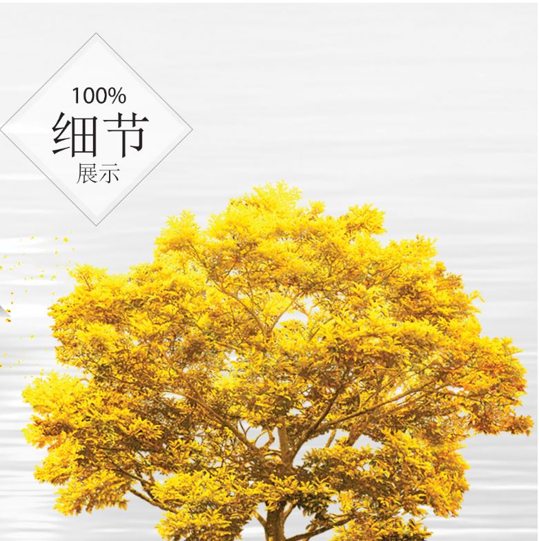 黄金靠山【22】