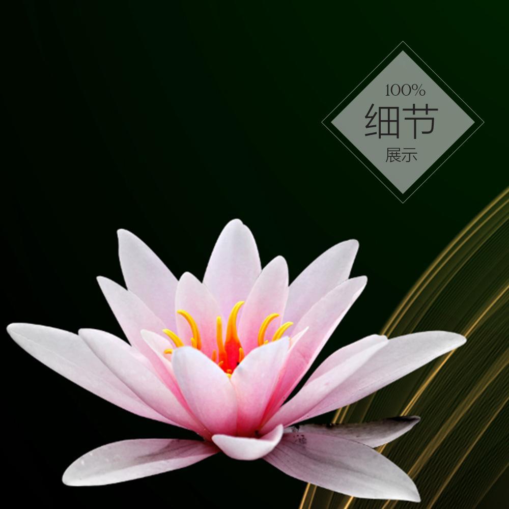 九鱼聚福 【二】 - FengShuiShi