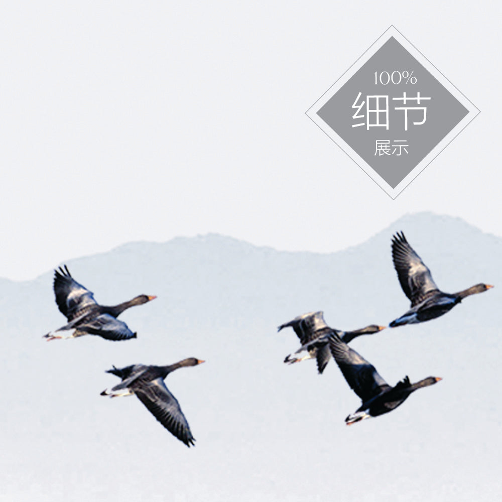 马到成功【1】